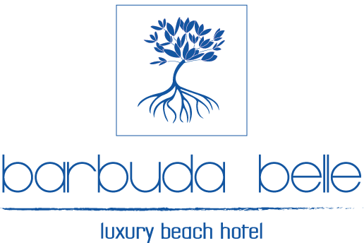 Barbuda Belle